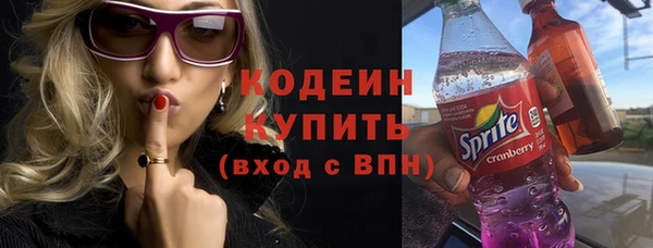 твердый Дмитровск