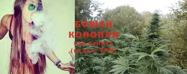 твердый Дмитровск