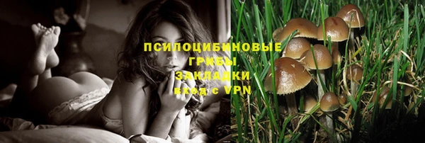 дмт Баксан